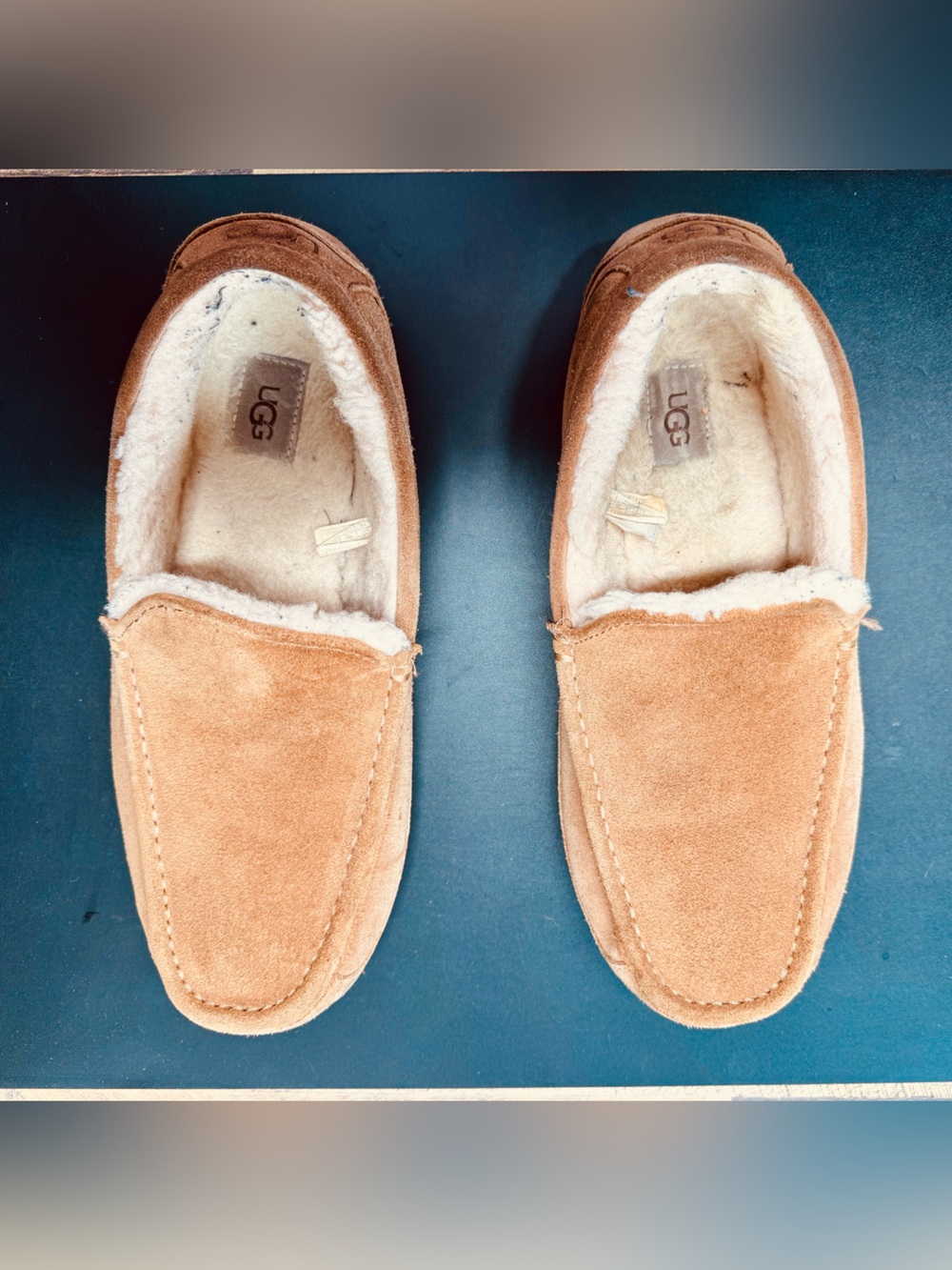 UGG Ascot Men’s Chestnut Slipper/Loafer